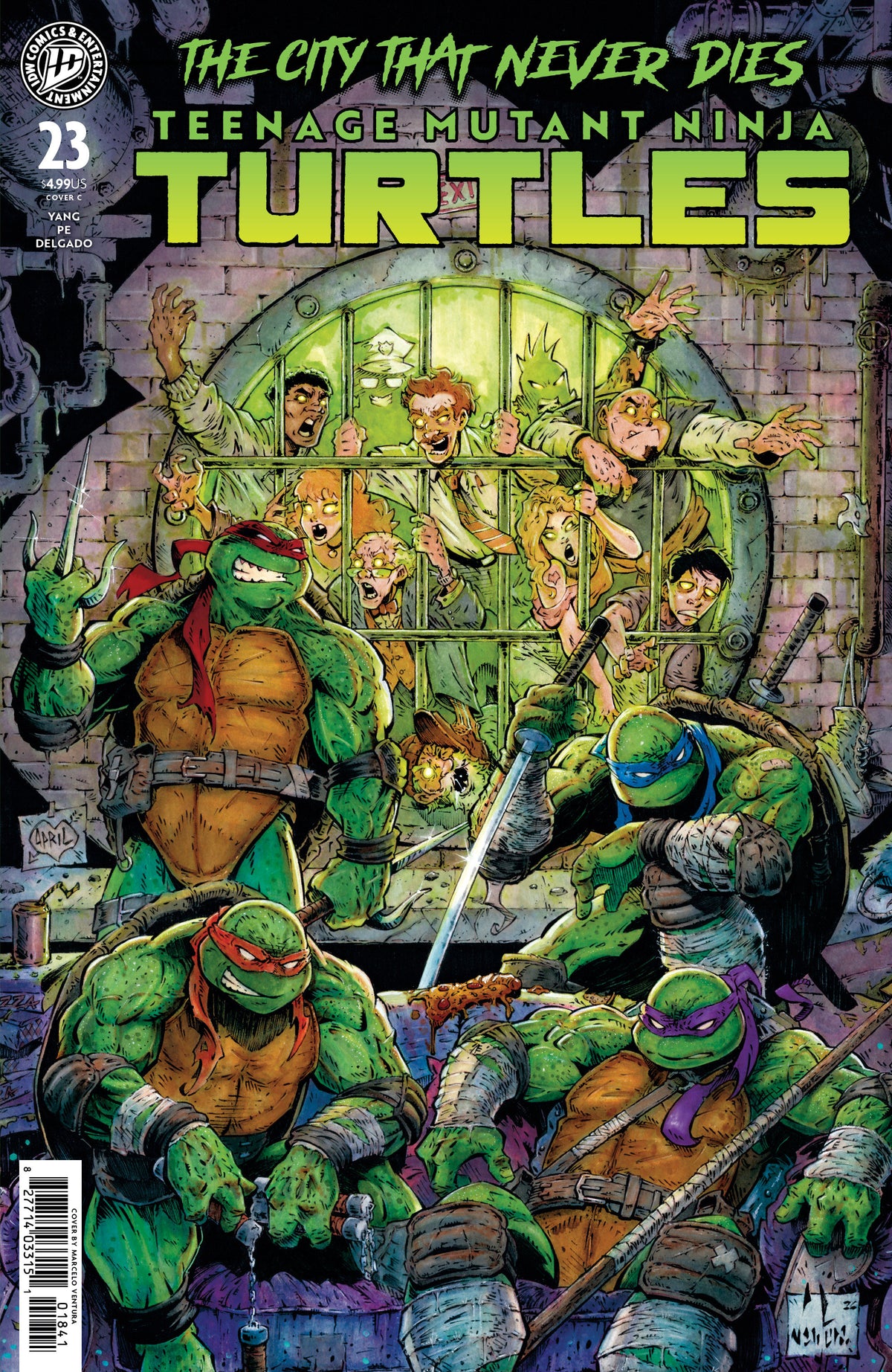 Teenage Mutant Ninja Turtles #23 C (Ventura)