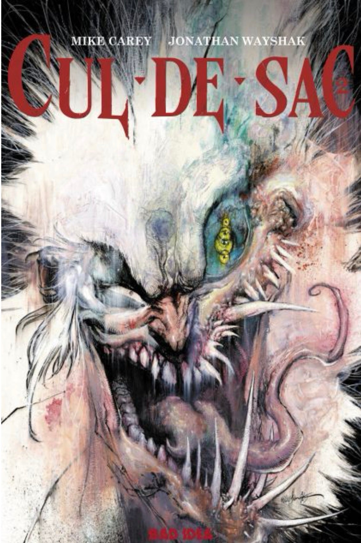 Cul-De-Sac #2 CVR A Jonathan Wayshak