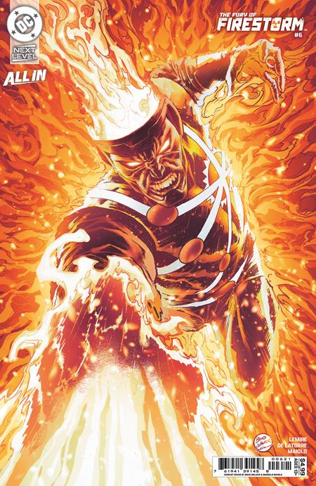 00A. FURY OF FIRESTORM #6 (OF 8) CVR B BRAD WALKER & MARCELO MAIOLO CARD STOCK