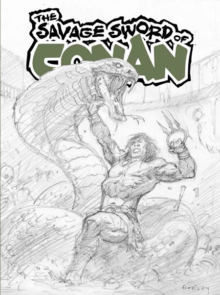 SAVAGE SWORD OF CONAN #15 SDCC EXCLUSIVE ALEX HORLEY CARDSTOCK INKS